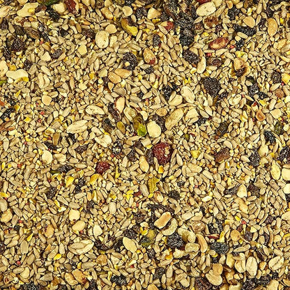 Kaytee Wild Bird Food, 5.5 Pound | Waste Free | Nut and Fruit Blend | For Multiple Bird Species | Pack of 2