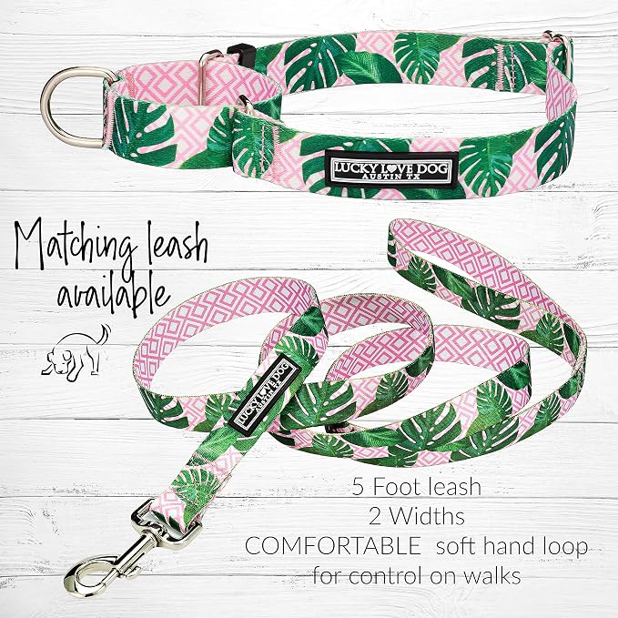 Lucky Love Dog Martingale Dog Collar - Adjustable, No-Slip, Comfortable, Durable, Soft Webbing & Stylish Patterned Collar for Male and Female Dogs Ideal for Training & Walking - Laguna, Medium