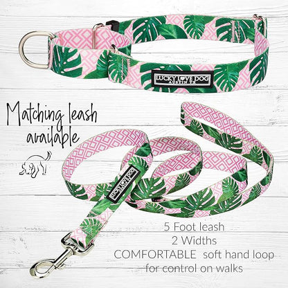 Lucky Love Dog Martingale Dog Collar - Adjustable, No-Slip, Comfortable, Durable, Soft Webbing & Stylish Patterned Collar for Male and Female Dogs Ideal for Training & Walking - Laguna, Medium
