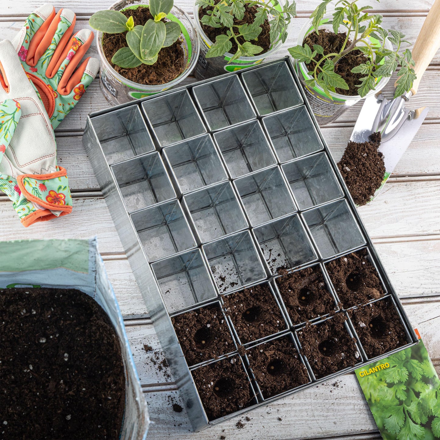 Kings County Tools Seed Starter Tray - Galvanized Steel Metal Seedling Tray with 24 Plant Starter Pots for Planting Seeds - Germination Kit for Sprouting, Greenhouse Accessories and Gardening Gifts