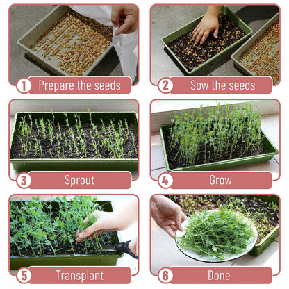 Mr. Pen- Seed Starter Trays, 10 Pack, 17"x10"x2.4", Durable Plastic Growing Trays, Stackable and Reusable Seedling Starter Kits for Indoor, Outdoor, Greenhouse Gardening, Planting, Hydroponic Systems