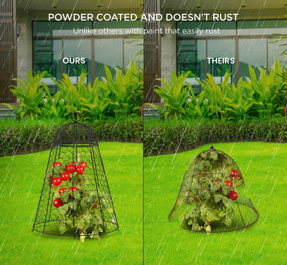 boldworks Garden Cloches for Plants Chicken Wire Cages to Protect from Animals Outdoor Extra Large Rustproof Thicker and Finer Mesh 12" x 20" Pack of 6